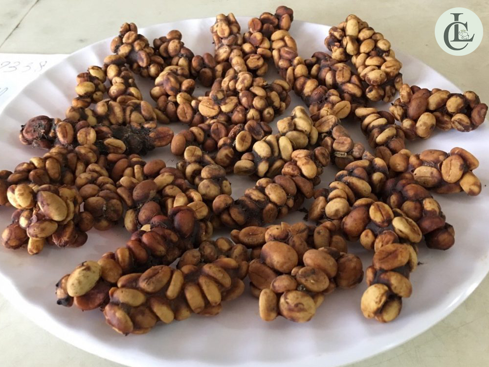 Cà Phê Chồn Là Gì? Giá Bao Nhiêu? Nguồn Gốc Của Nó 3 Cafe chồn