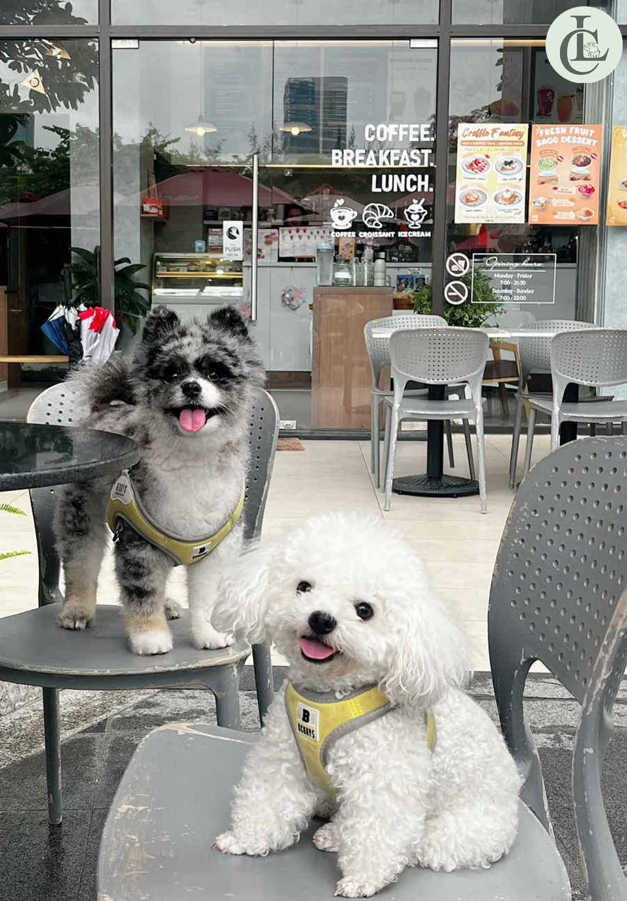 đánh giá Hochi Cafe