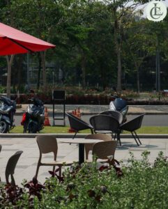 hochi cafe 6