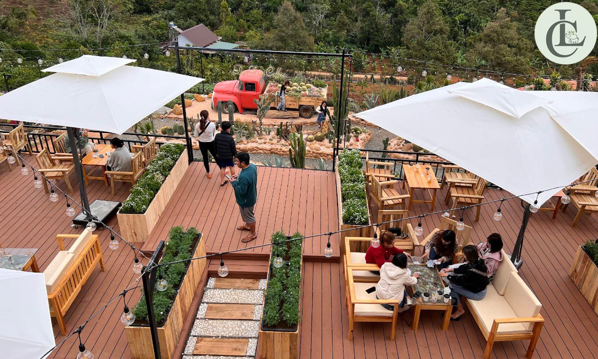 cafe view đẹp bảo lộc The Fern Tea & Coffee