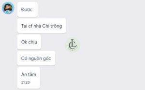 khach hang phan hoi cafe tay nguyen lc