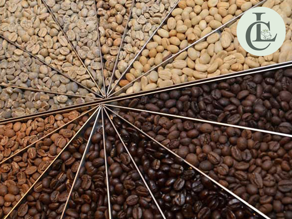 Cung Cấp Cà Phê Cho Quán Giá Sỉ Chất Lượng Tại TPHCM 2 Cung cấp cà phê cho quán