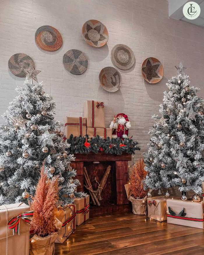 De Olla Cafe – Mặt tiền trắng – cây thông lớn cực sang