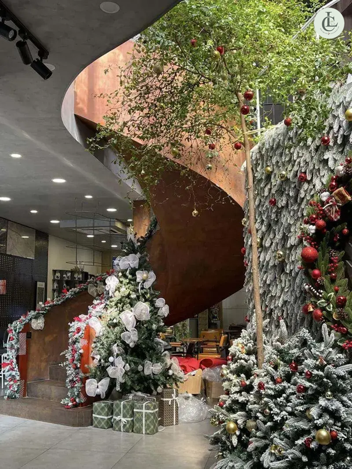 TATA Coffee – “Vương quốc gấu bông & thông mini” dành cho team cute